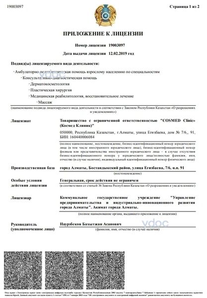 Лицензия Лицензия