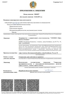 Лицензия Лицензия