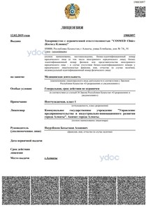 Лицензия Лицензия