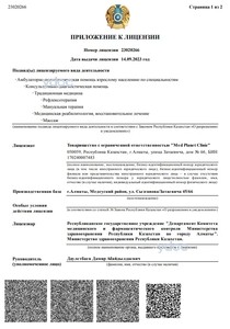 Лицензия Лицензия