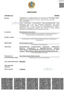 Лицензия Лицензия