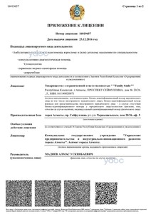 Приложение к лицензии