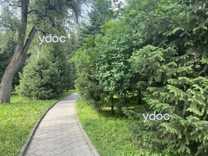 Территория клиники