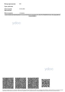 Приложение к лицензии