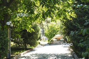 Территория клиники