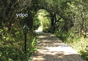 Территория клиники