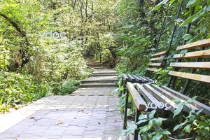 Территория клиники