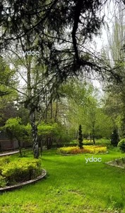 Территория клиники