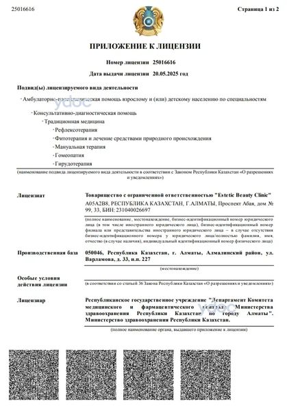 Лицензия Лицензия