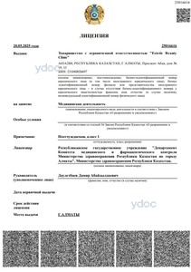 Лицензия Лицензия