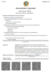 Лицензия Лицензия