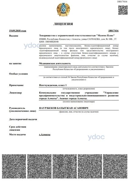 Лицензия Лицензия