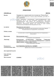 Лицензия Лицензия