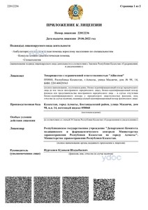 Приложение к лицензии