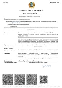 Приложение к лицензии