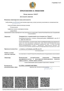 Лицензияға қосымша