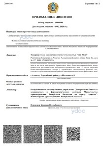Лицензияға қосымша Лицензияға қосымша