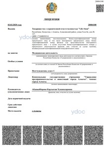 Лицензия Лицензия