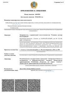 Лицензияға қосымша