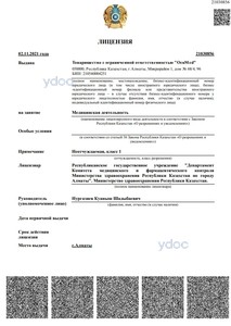 Лицензия Лицензия