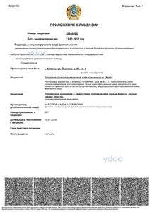 Лицензияға қосымша