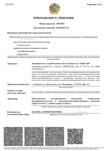 Лицензияға қосымша