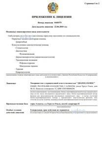 Лицензияға қосымша