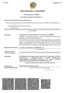 Лицензияға қосымша