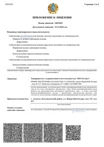 Приложение к лицензии