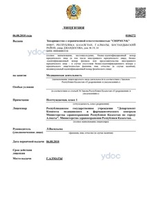 Лицензия