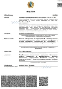 Лицензия Лицензия