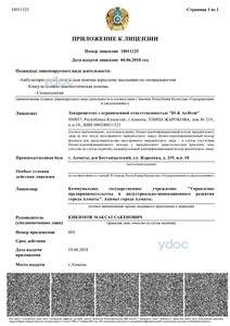 Лицензияға қосымша Лицензияға қосымша