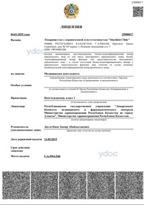 Лицензия Лицензия