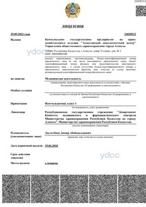 Лицензия Лицензия