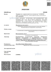 Лицензия Лицензия