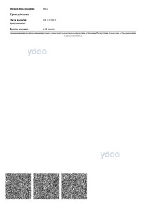 Лицензия Лицензия