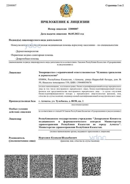 Лицензия Лицензия