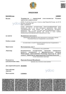 Лицензия Лицензия