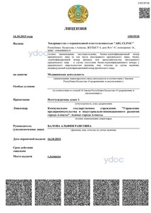 Лицензия Лицензия