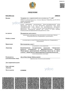 Лицензия Лицензия