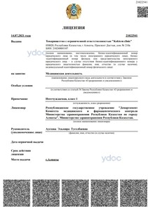 Лицензия Лицензия