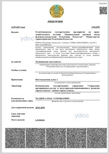 Лицензия Лицензия