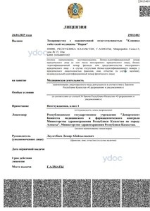 Лицензия Лицензия