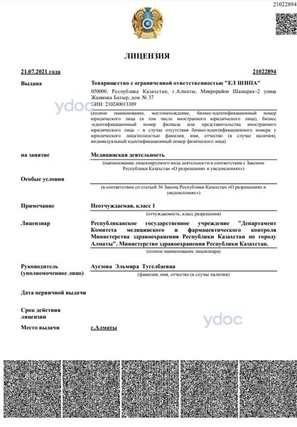 Лицензия Лицензия