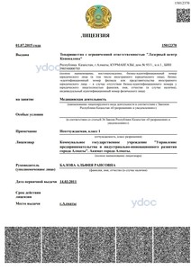 Лицензия Лицензия