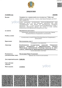 Лицензия Лицензия