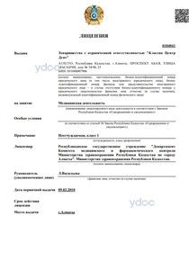 Лицензия Лицензия