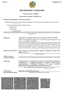 Приложение к лицензии