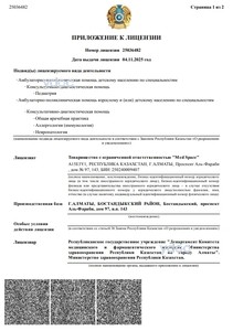 Приложение к лицензии