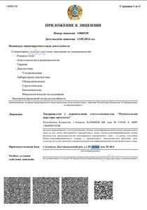 Лицензия Лицензия